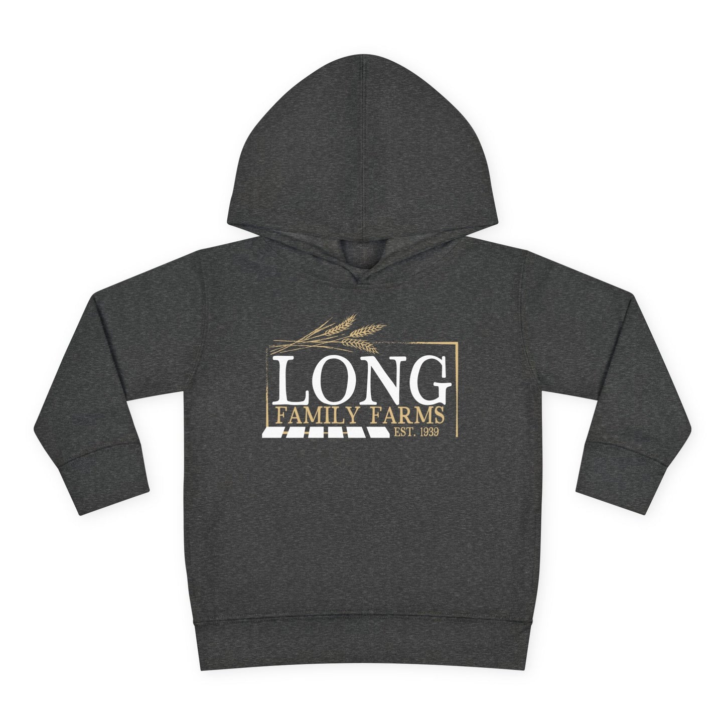Hooded Sweatshirt (Toddler)