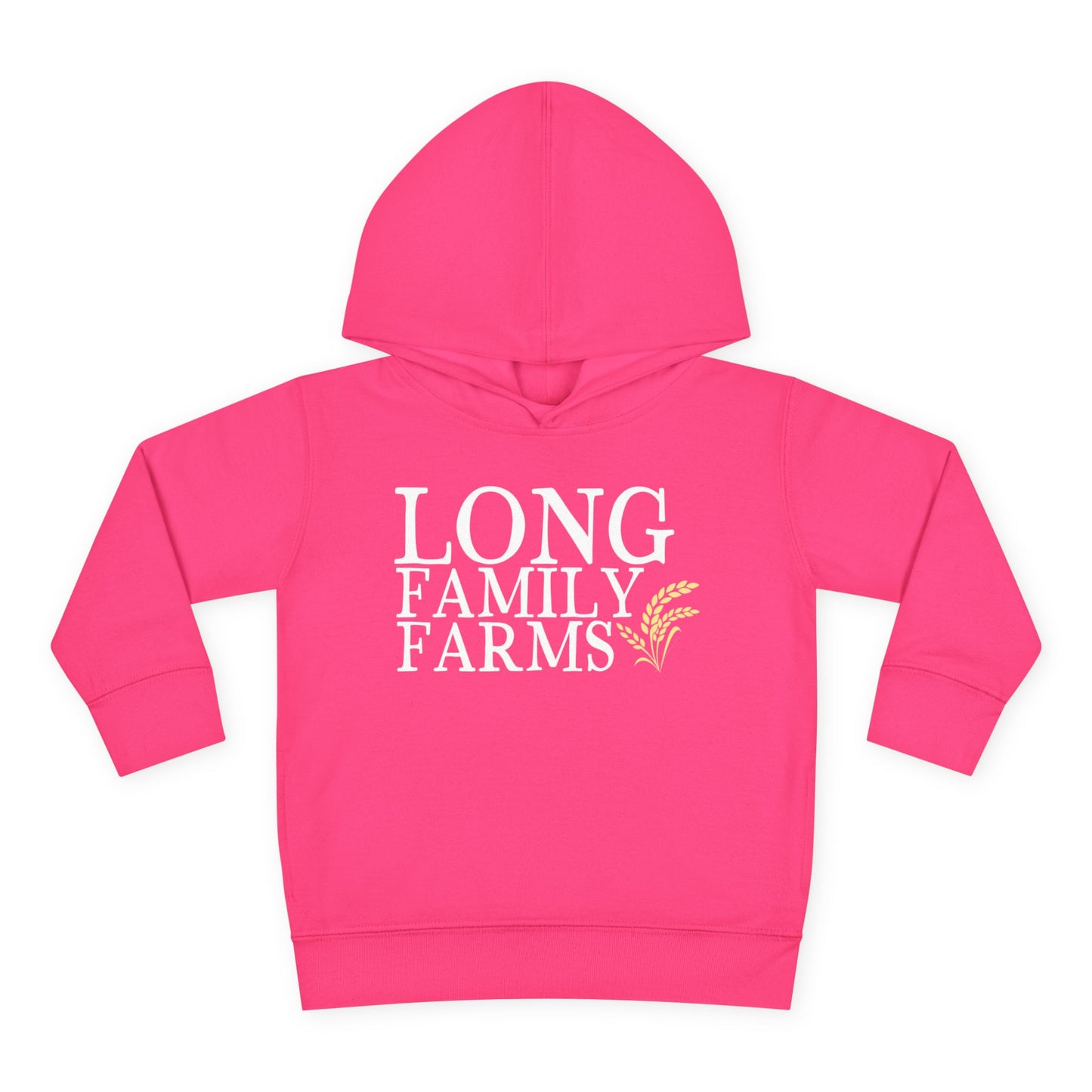 Hooded Sweatshirt (Toddler)